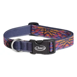 Sale Chaco Dog Collars Flare Shadow