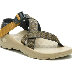 Best Chaco Men's Z/Cloud Adjustable Strap Cushioned Sandal Bit Mountain