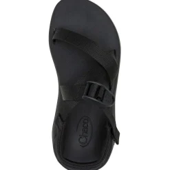 Best Chaco Women's CushZ Extra Cushioned Sandal Black