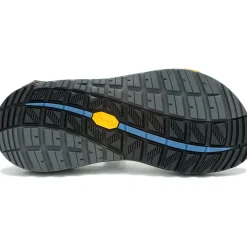 Chaco Women's Z/2 Rapid Pro Adjustable Strap Classic Sandal Eddy Fungi